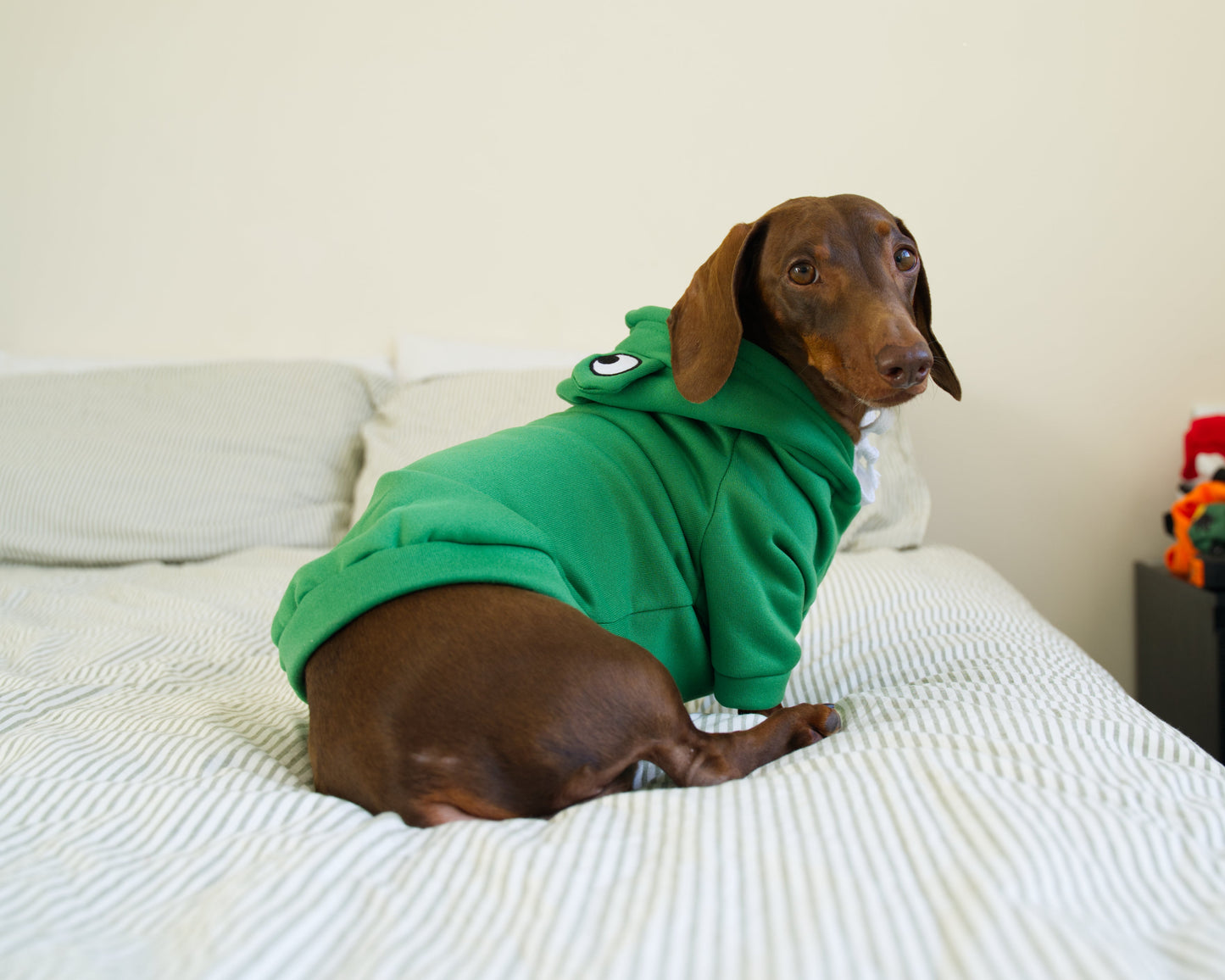 Frog Dog Sweater Hoodie