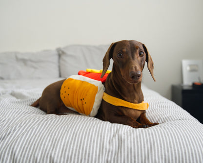 Hot Dog Fancy Dress Costume