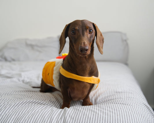 Hot Dog Fancy Dress Costume