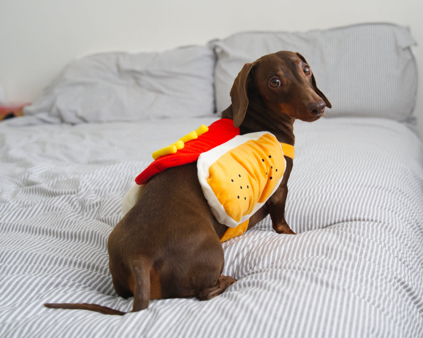 Hot Dog Fancy Dress Costume