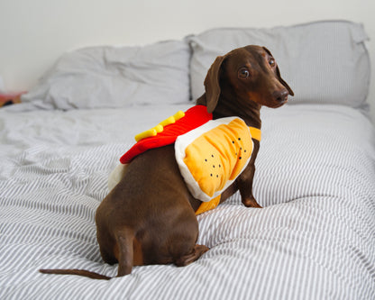 Hot Dog Fancy Dress Costume
