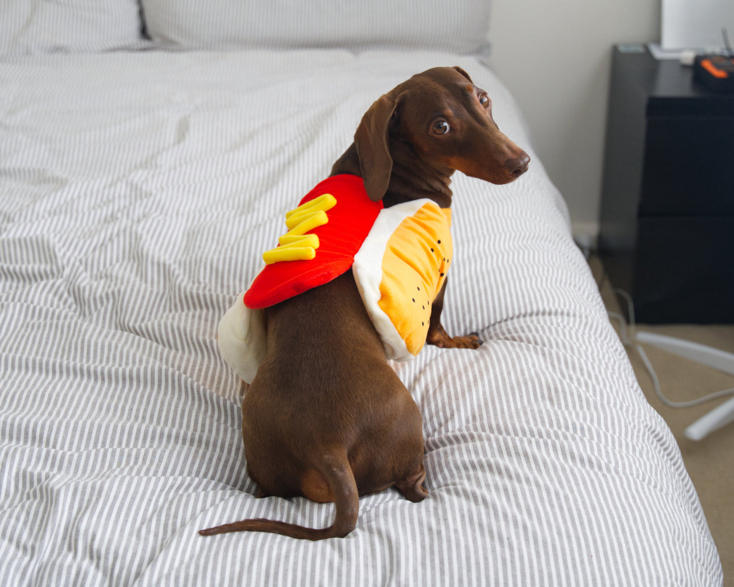 Hot Dog Fancy Dress Costume