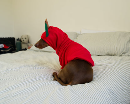 Apple Dog Sweater Hoodie