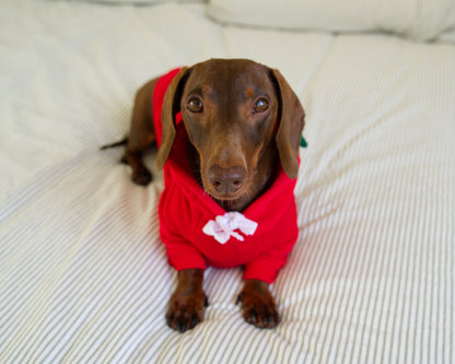 Apple Dog Sweater Hoodie