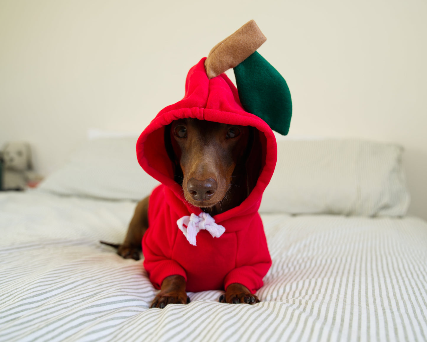 Apple Dog Sweater Hoodie