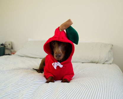 Apple Dog Sweater Hoodie