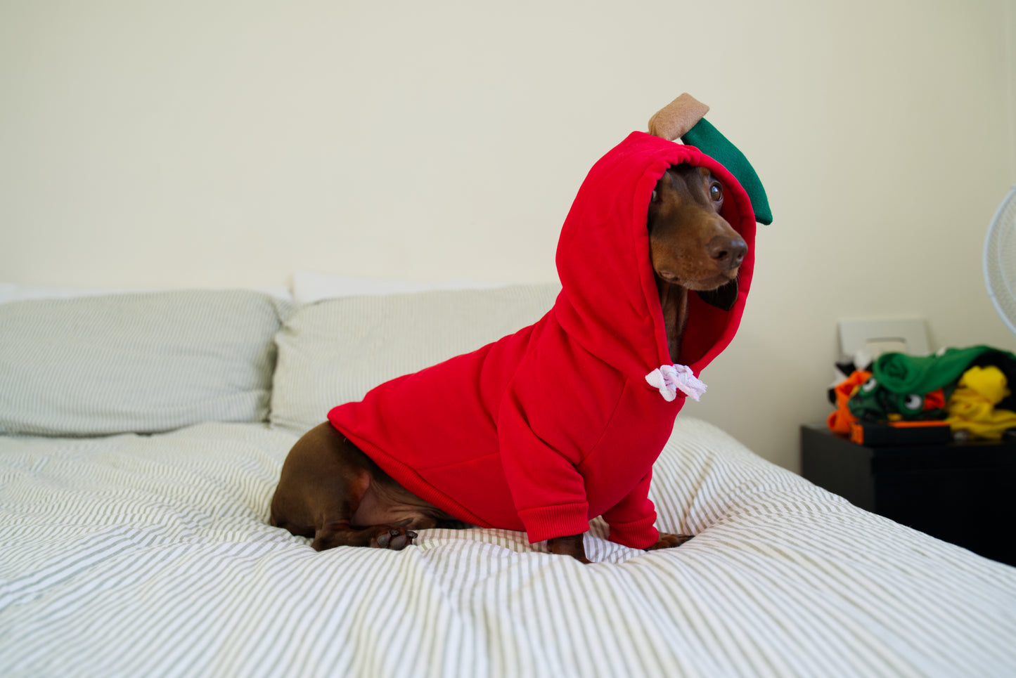 Apple Dog Sweater Hoodie