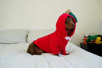 Apple Dog Sweater Hoodie