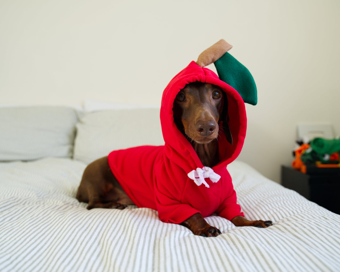 Apple Dog Sweater Hoodie