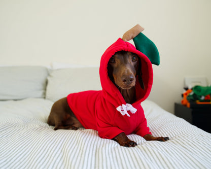 Apple Dog Sweater Hoodie