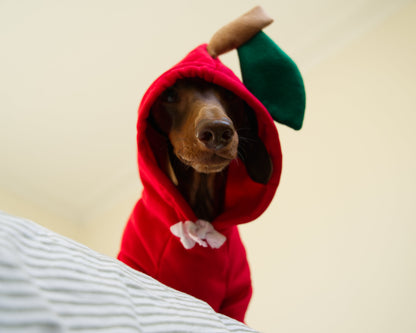 Apple Dog Sweater Hoodie