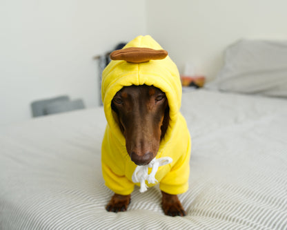 Banana Dog Sweater Hoodie