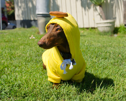Banana Dog Sweater Hoodie