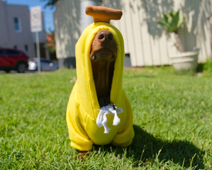Banana Dog Sweater Hoodie