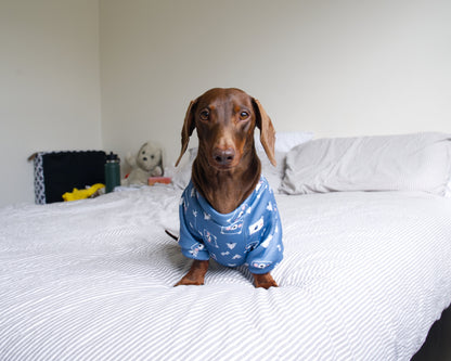 Bear Print Sweater Fleece Sweatshirt