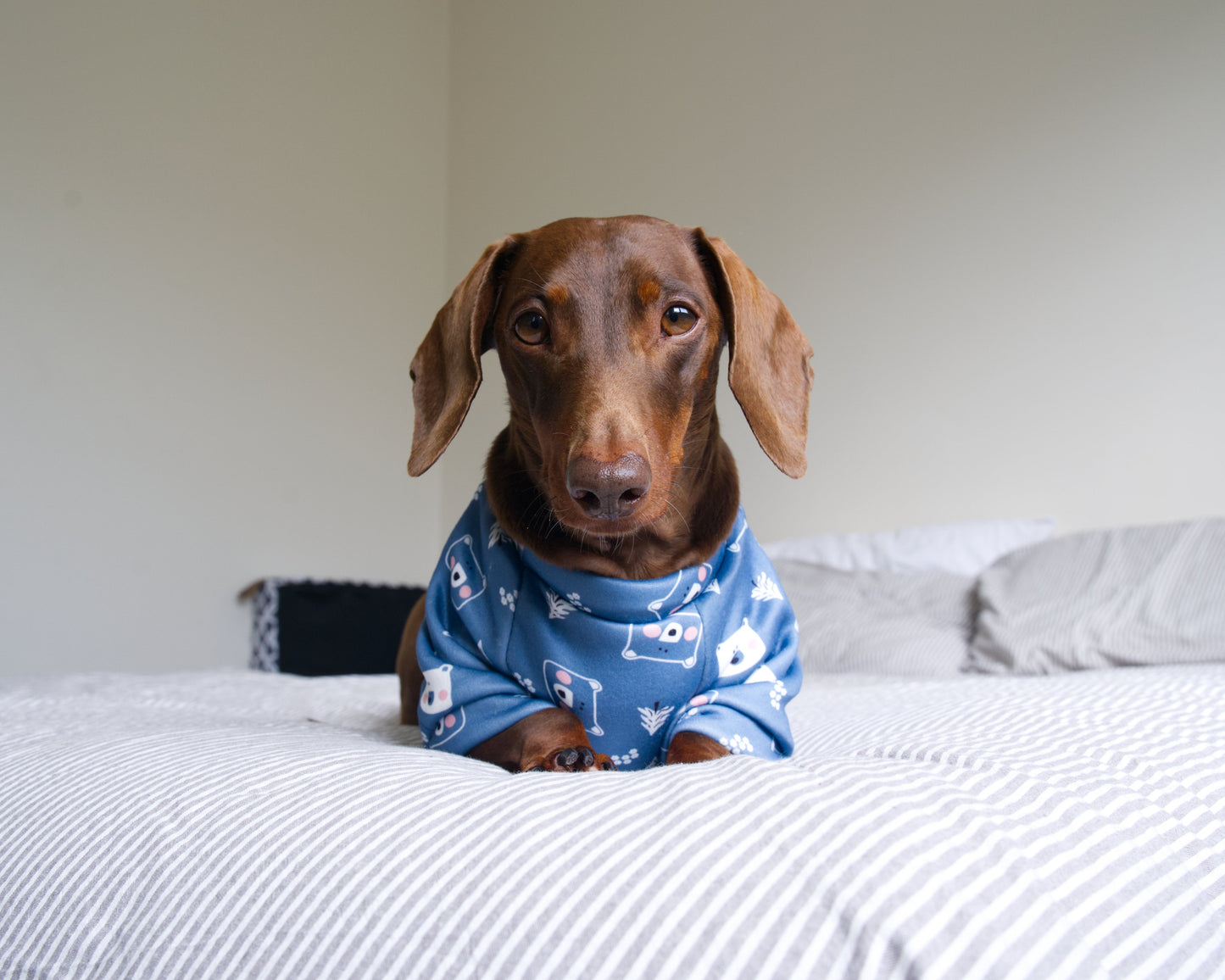 Bear Print Sweater Fleece Sweatshirt
