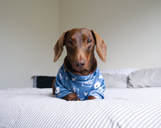 Bear Print Sweater Fleece Sweatshirt