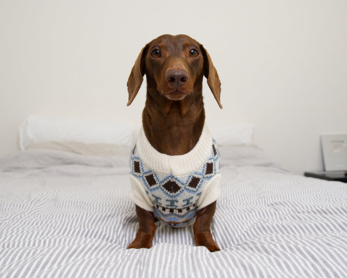 Bohemia Style Knitted Sweater - Cream