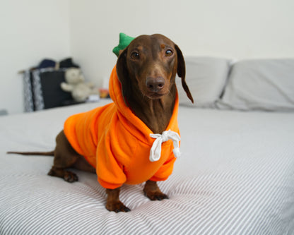 Carrot Dog Sweater Hoodie