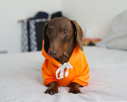 Carrot Dog Sweater Hoodie