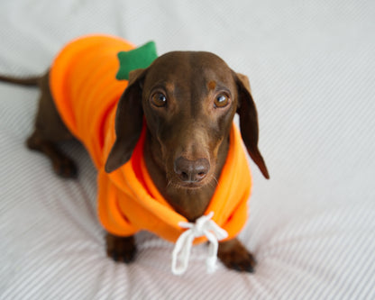 Carrot Dog Sweater Hoodie