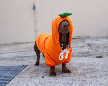 Carrot Dog Sweater Hoodie