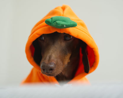 Carrot Dog Sweater Hoodie