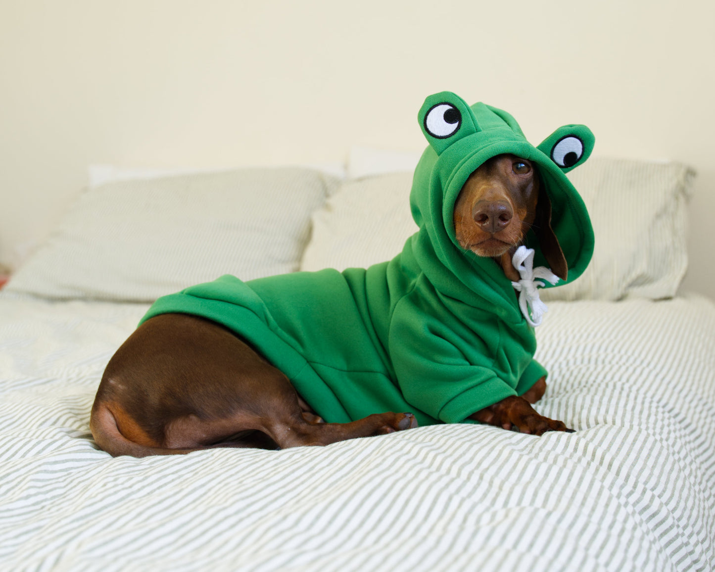 Frog Dog Sweater Hoodie