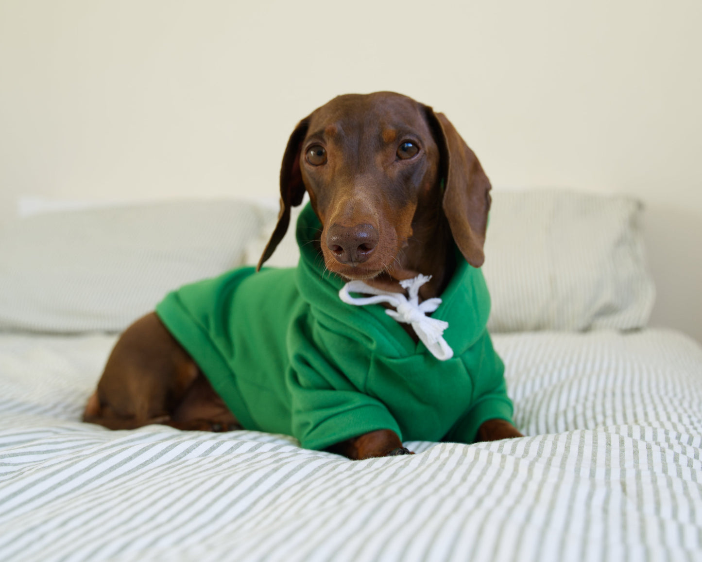 Frog Dog Sweater Hoodie