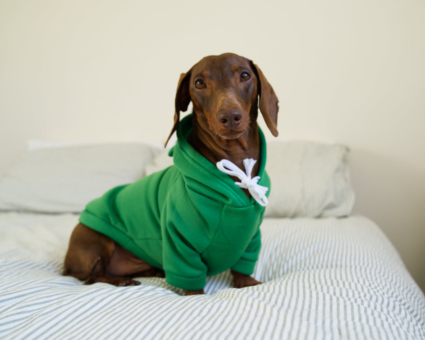 Frog Dog Sweater Hoodie