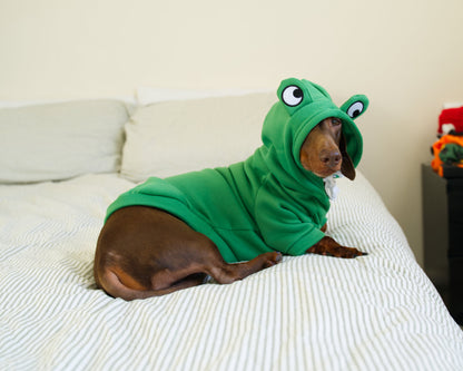Frog Dog Sweater Hoodie