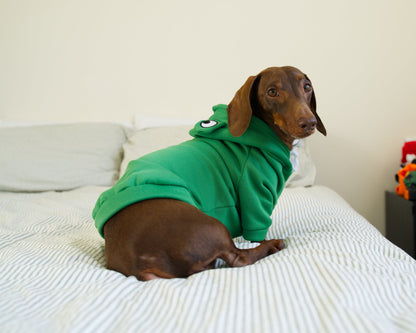 Frog Dog Sweater Hoodie