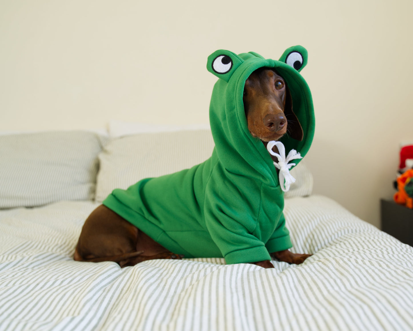 Frog Dog Sweater Hoodie