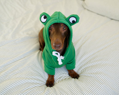 Frog Dog Sweater Hoodie