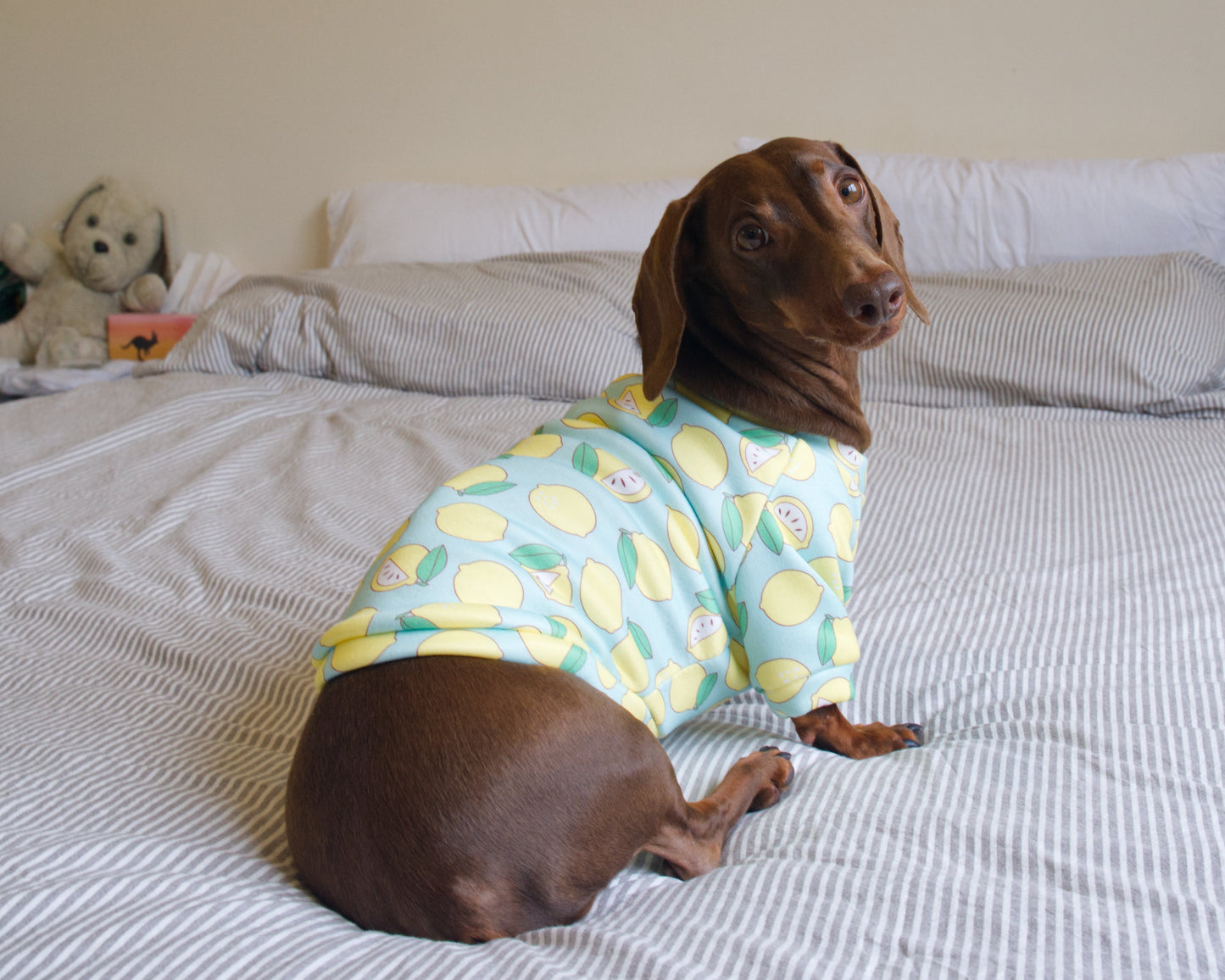 Lemon Print Sweater Fleece Sweatshirt