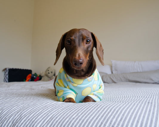 Lemon Print Sweater Fleece Sweatshirt