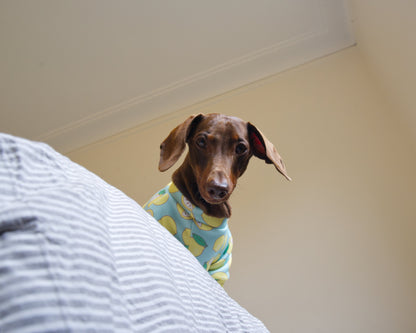 Lemon Print Sweater Fleece Sweatshirt