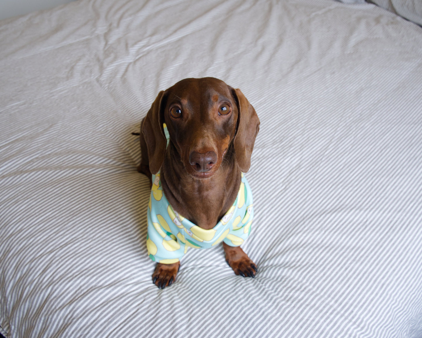 Lemon Print Sweater Fleece Sweatshirt