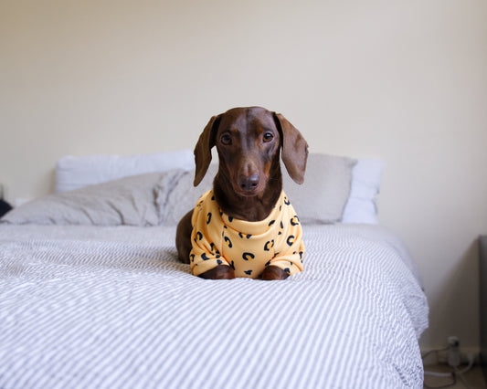 Leopard Print Sweater Fleece Sweatshirt