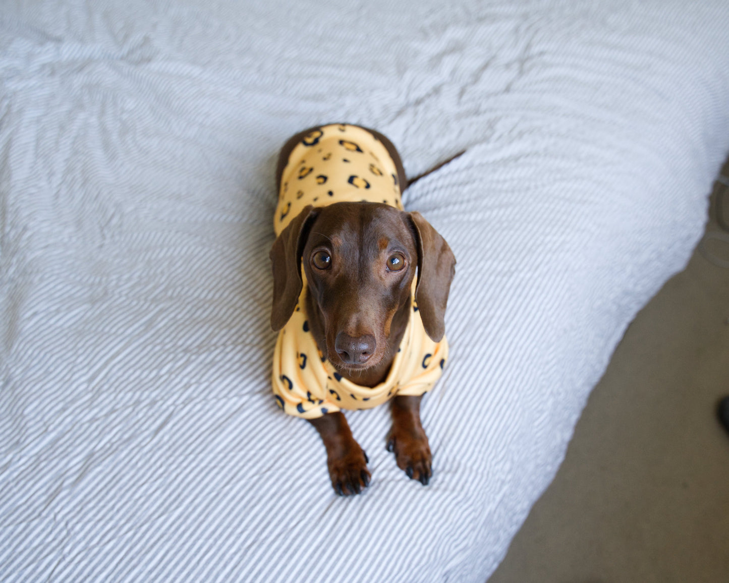 Leopard Print Sweater Fleece Sweatshirt