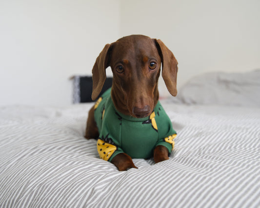 Pineapple Print Sweater Fleece Sweatshirt