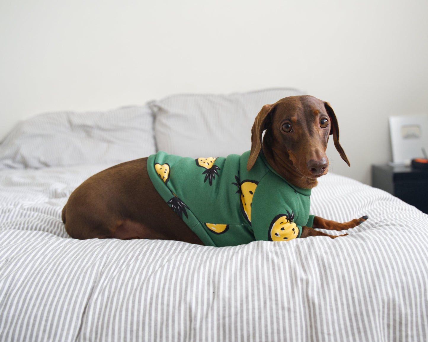 Pineapple Print Sweater Fleece Sweatshirt