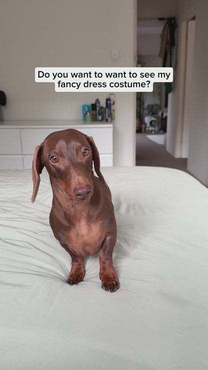 Hot Dog Fancy Dress Costume