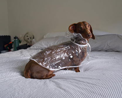 Transparent Waterproof Dog Raincoat