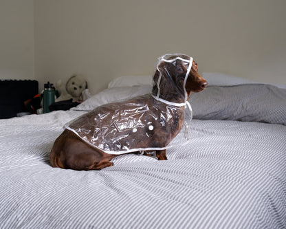 Transparent Waterproof Dog Raincoat