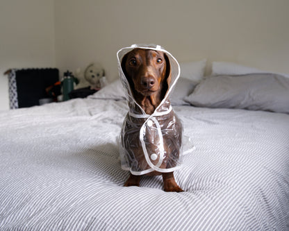 Transparent Waterproof Dog Raincoat