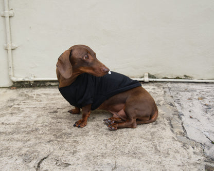 Security Dog Sweater Hoodie