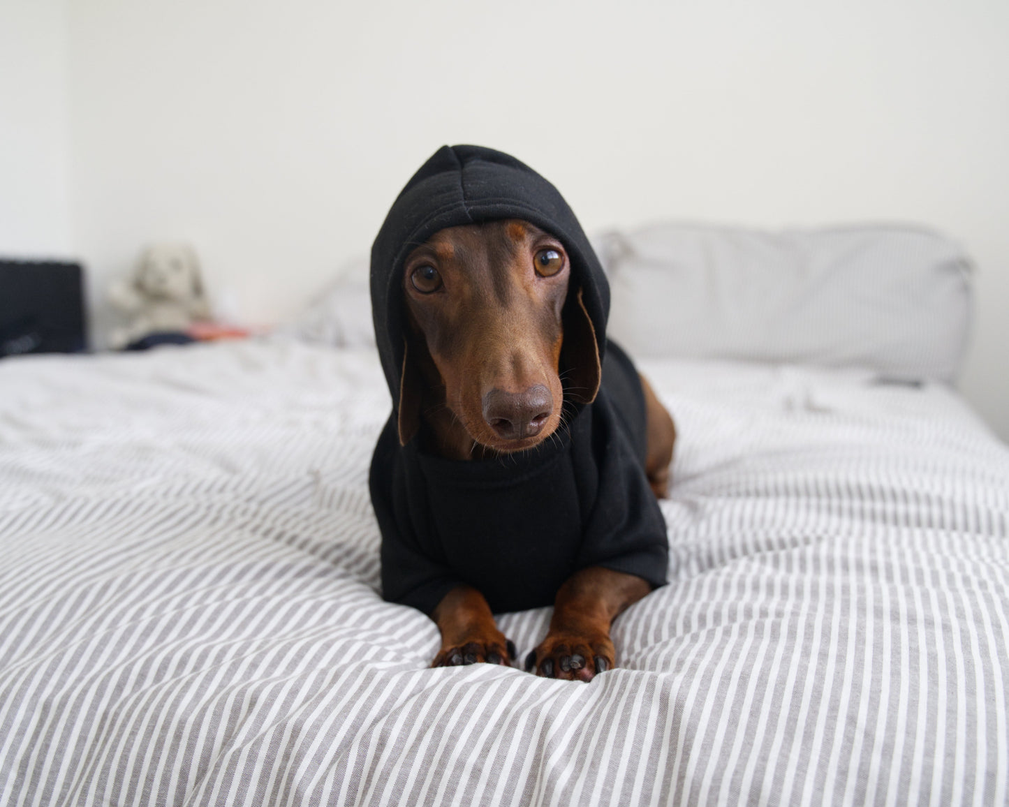 Security Dog Sweater Hoodie