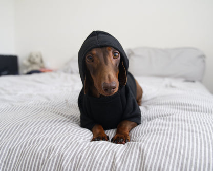 Security Dog Sweater Hoodie