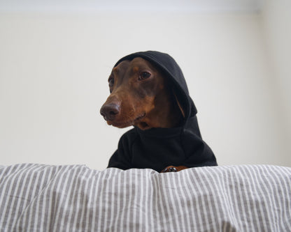 Security Dog Sweater Hoodie